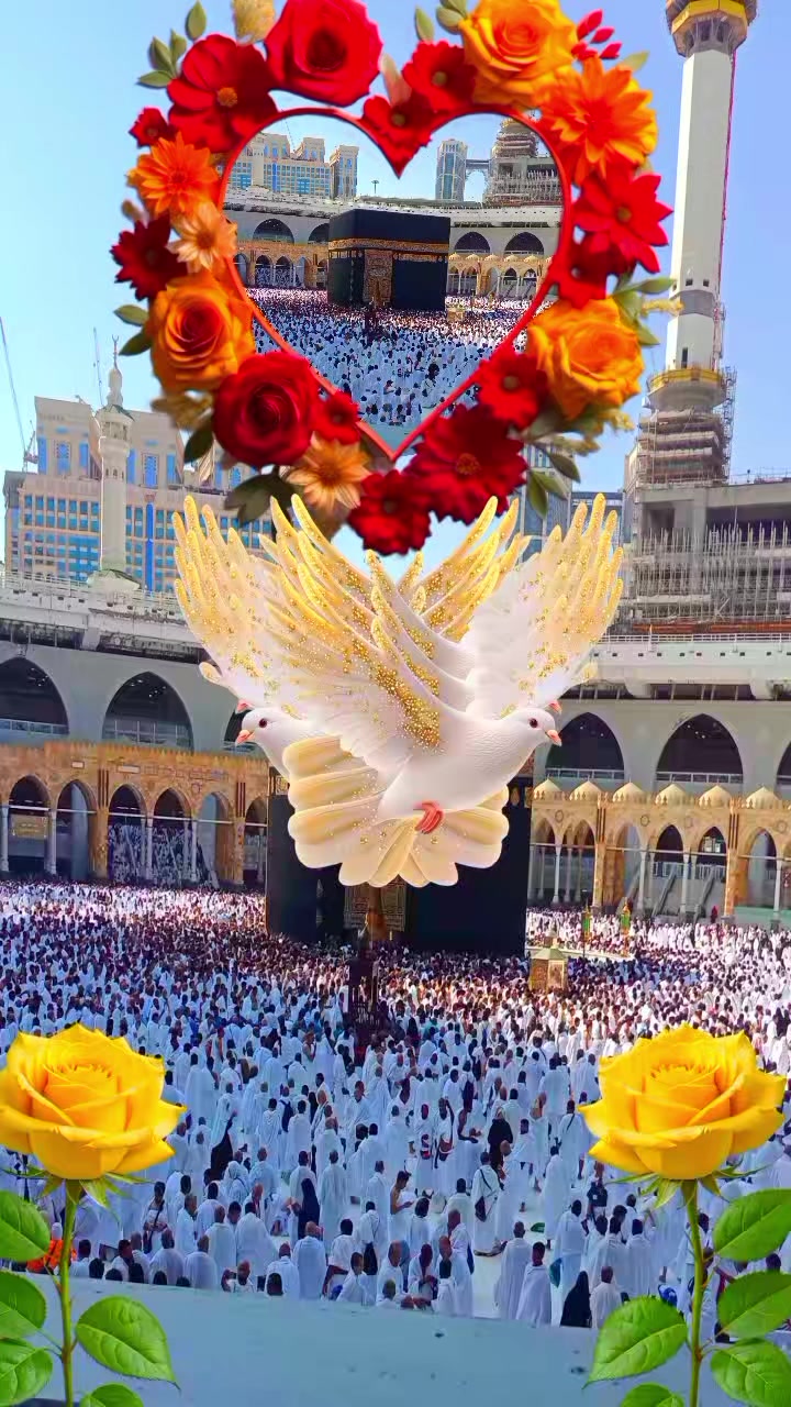 @noor noor