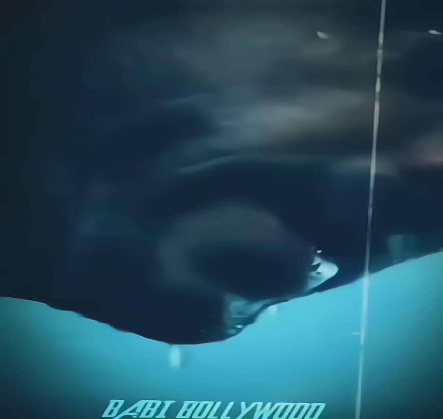 @𝐁𝐀𝐁𝐈 𝐁𝐎𝐋𝐋𝐘𝐖𝐎𝐎𝐃