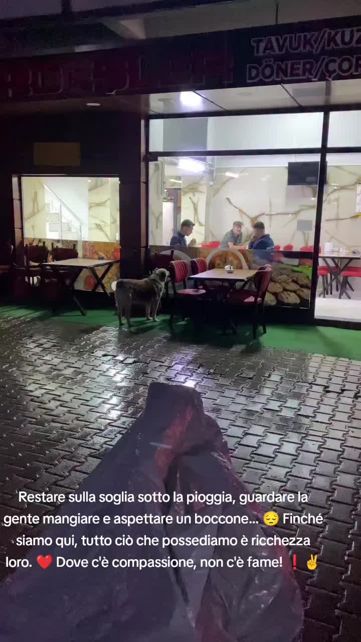 @cuore.animale