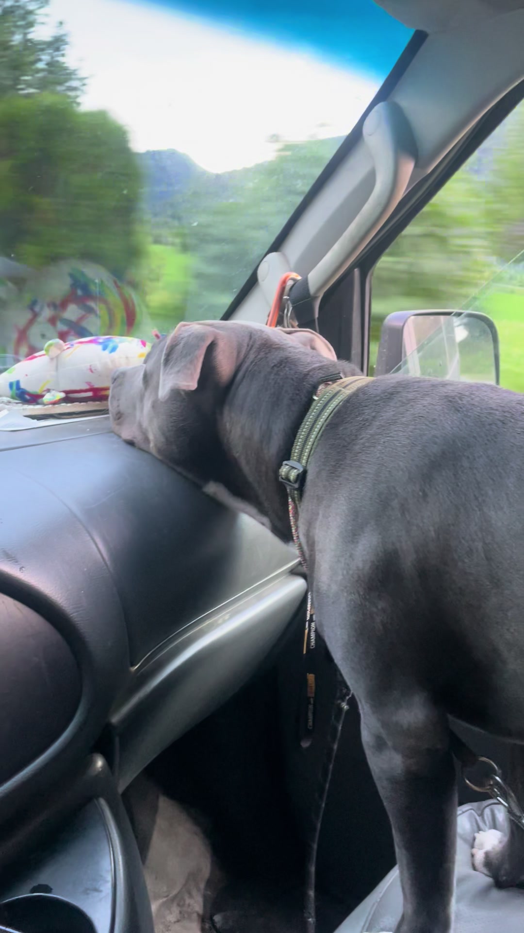 @Mountain Hill Ranch 🇦🇹