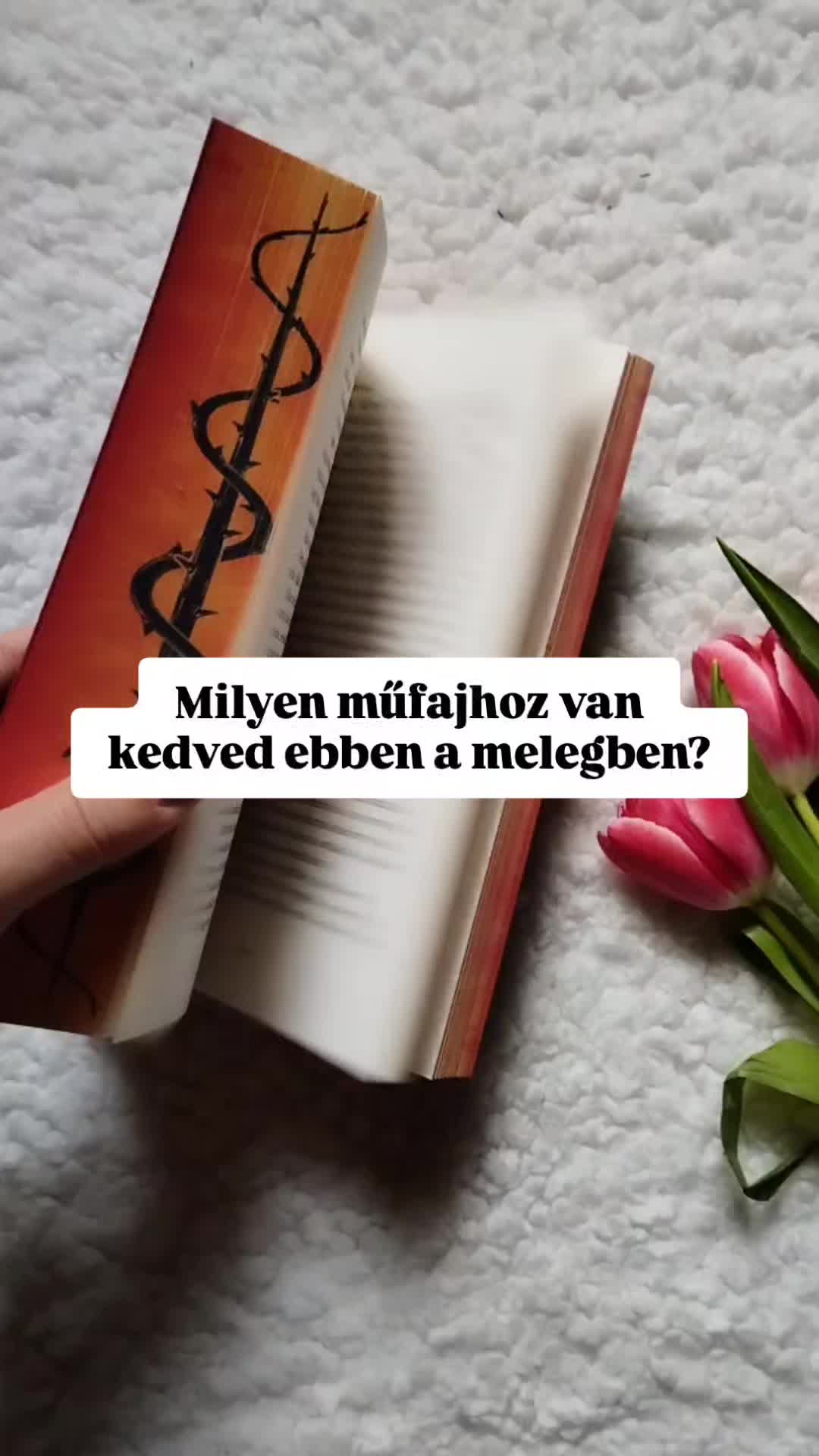 @Evi's bookish corner
