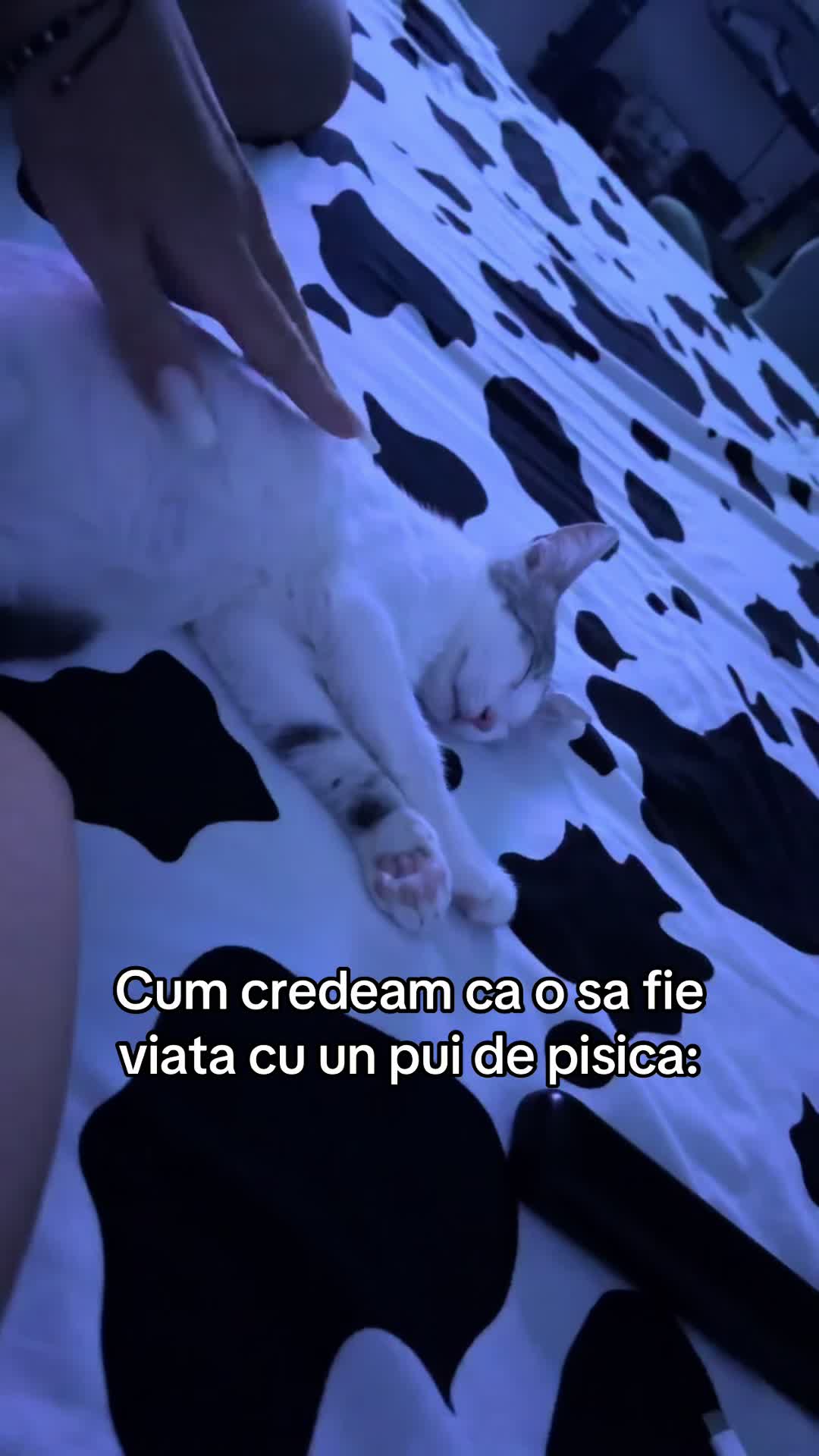 @Melissa