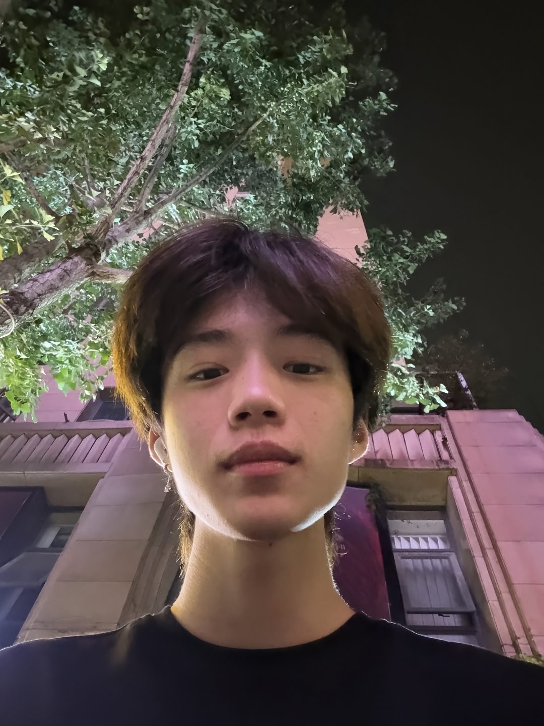 @金金金