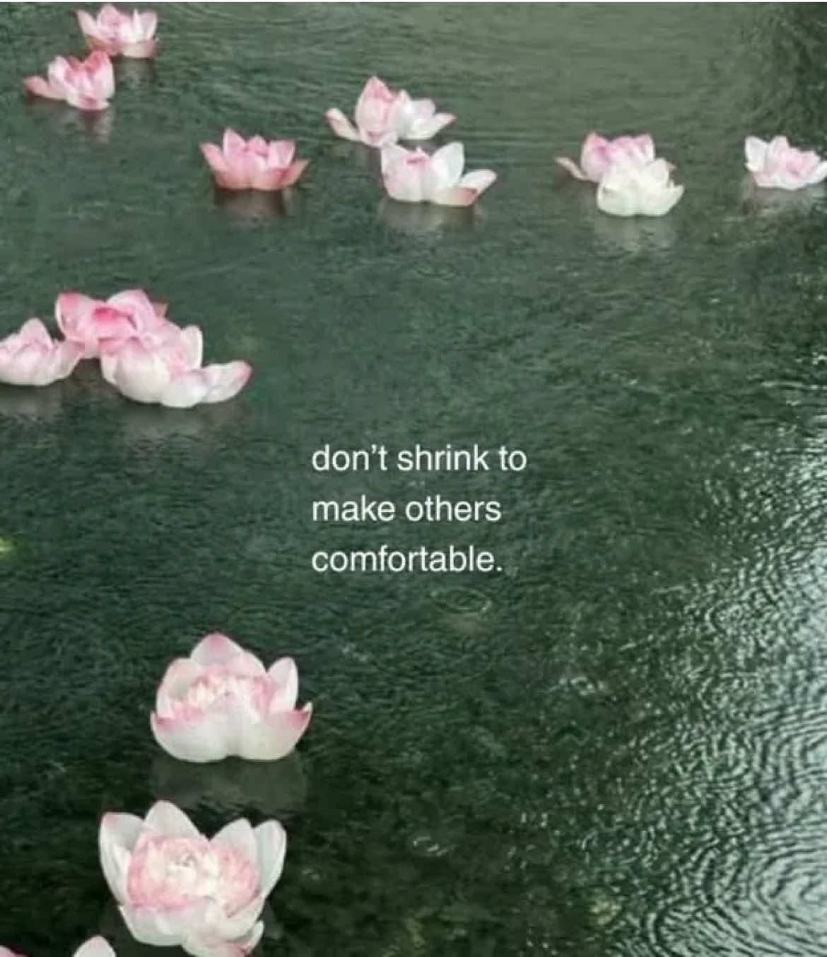 @𐙚˚࿔ 𝐂𝐡𝐞𝐥𝐬 𝜗𝜚˚
