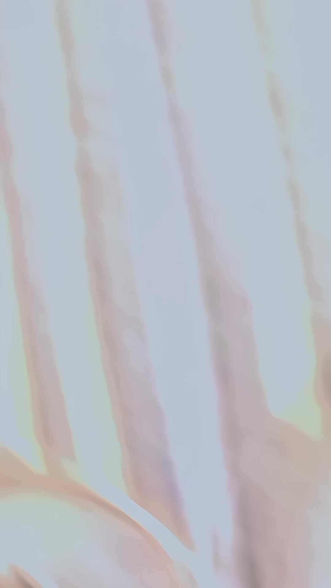 @▄︻R̷e̷h̷a̷n̷ ̷h̷a̷i̷d̷e̷r̷══━一