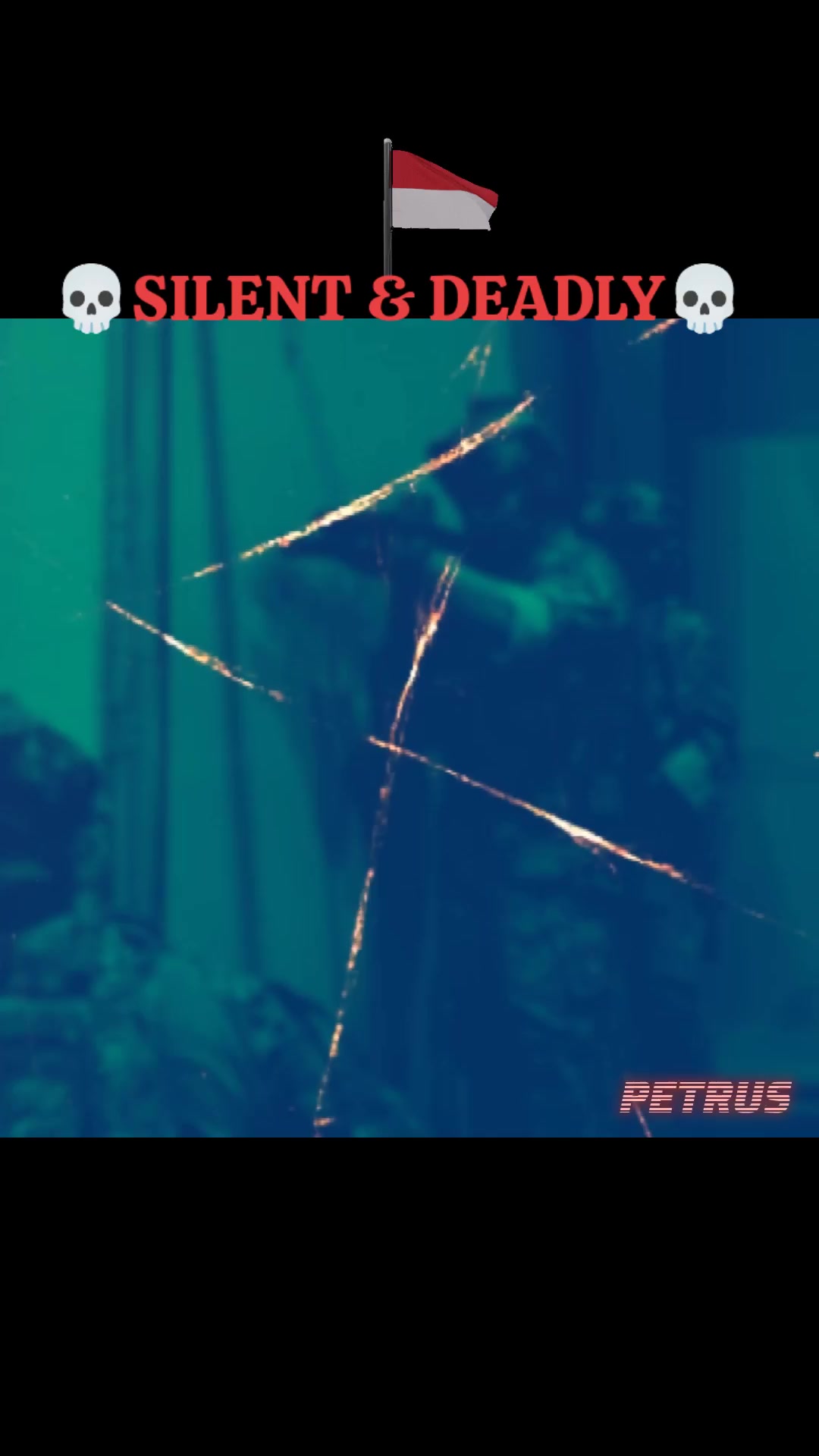 @▄︻̷̿┻̿petrus═━一