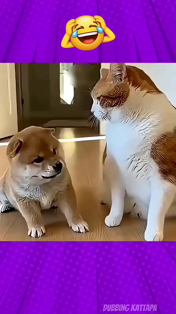 @🫰💫🕊️𝐟s🕊️💫🫰
