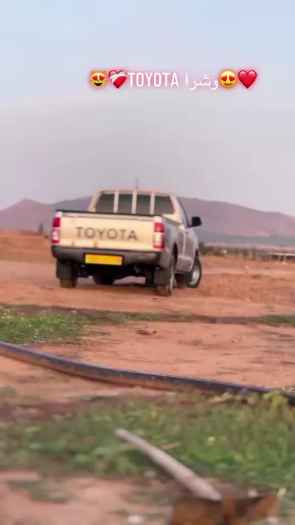 @الموالة اخالي الابقار