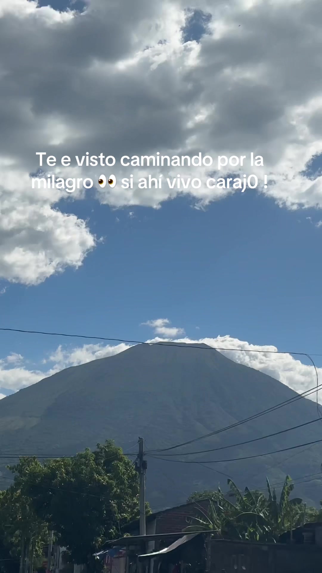 @Silvia Vigil Rivera