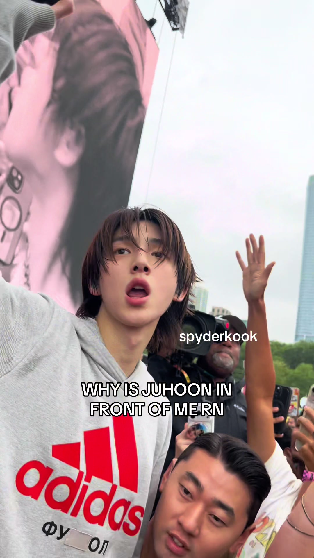 @spyderkook