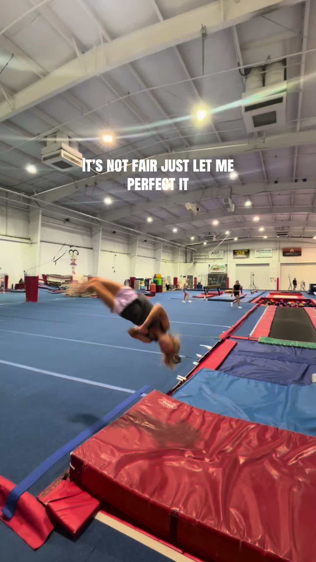 @emilyflips247