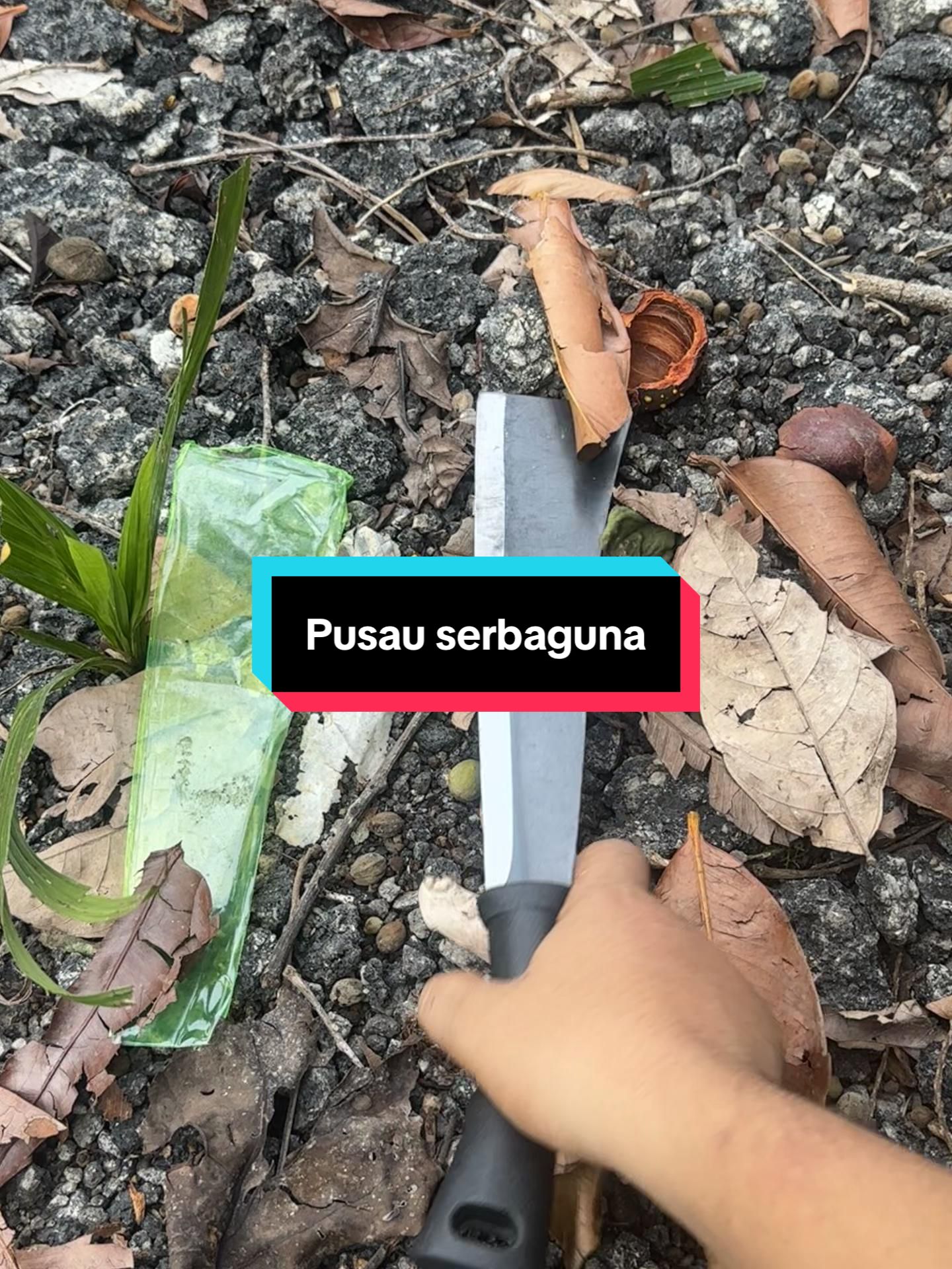 @hisyam