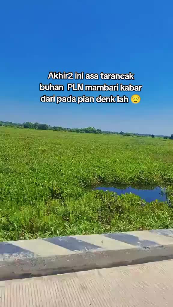 @Ahmad Ridani