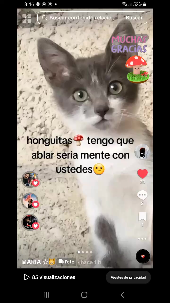 @MARIA ☆😸
