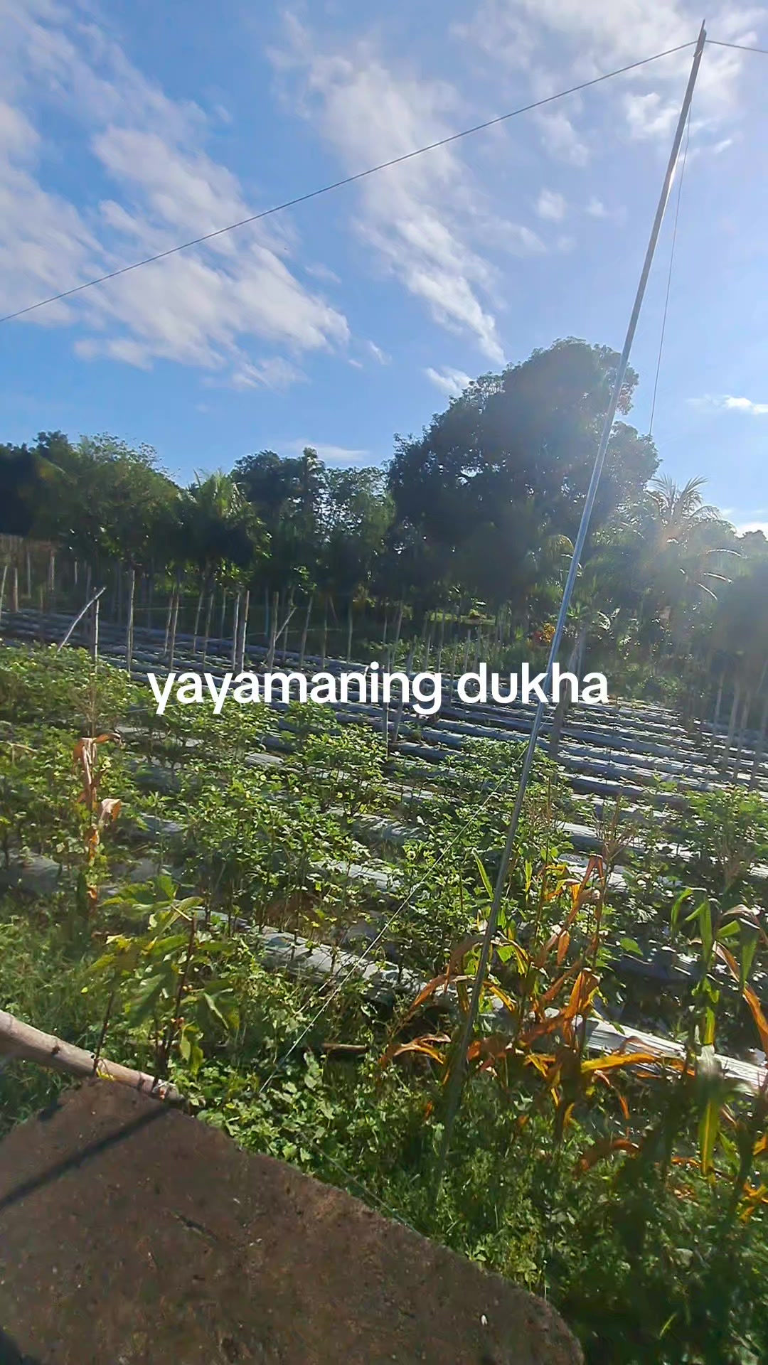 @yayamaning dukha