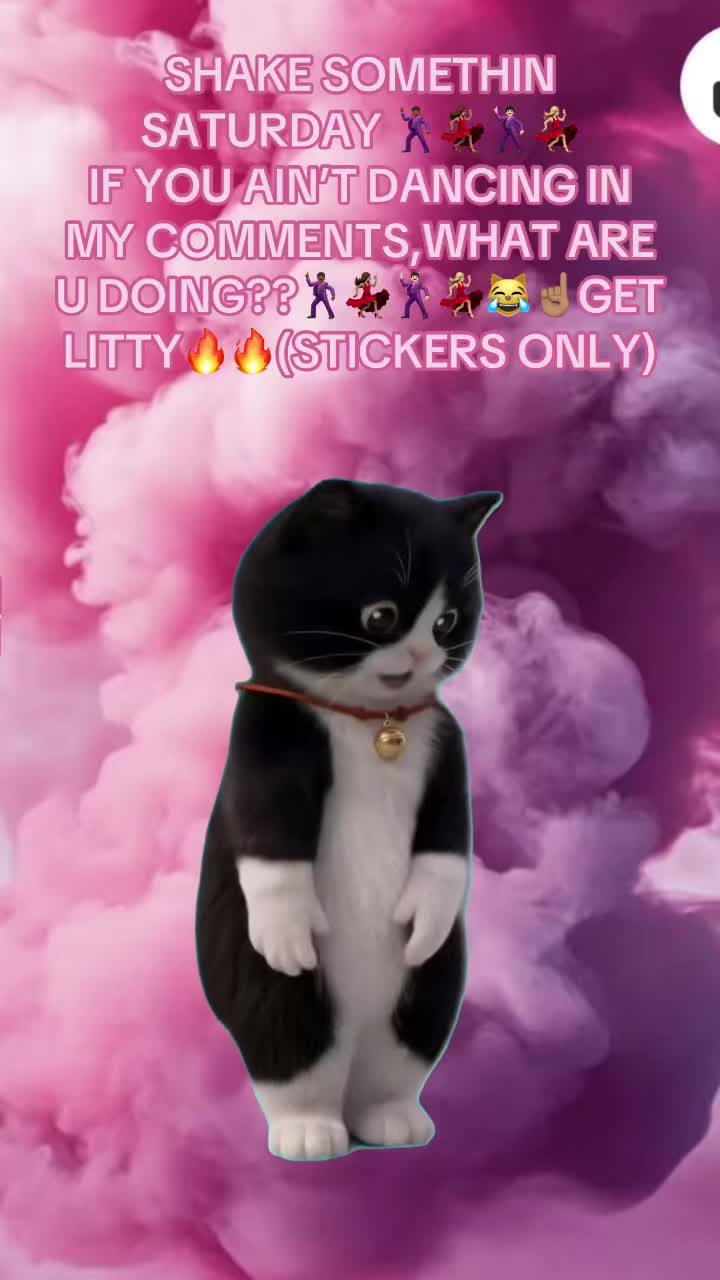 @😻MISSKITTYLITTY😻G7❌