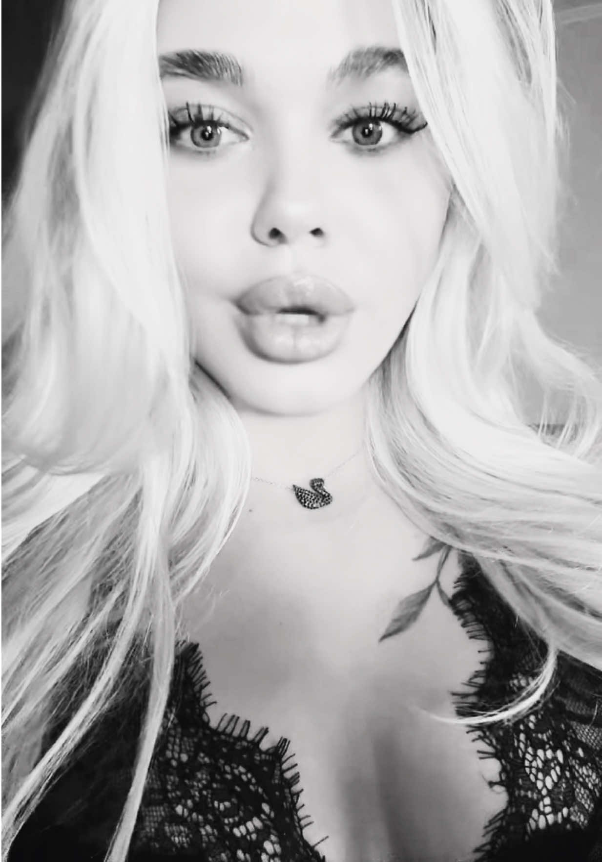 @bulkadashka