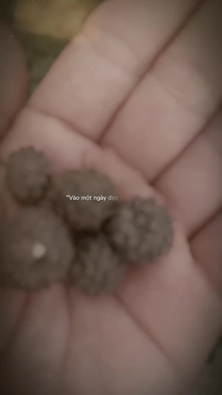 @Đông y VŨ VĂN DÂN