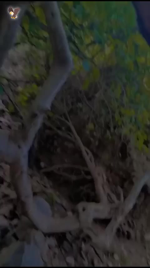 @°_°