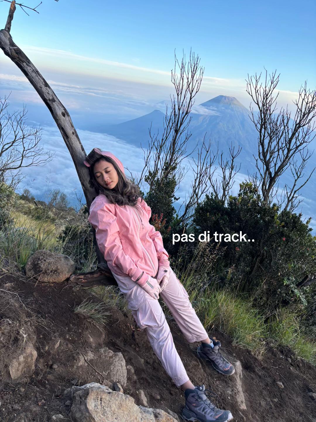 @fasyamel