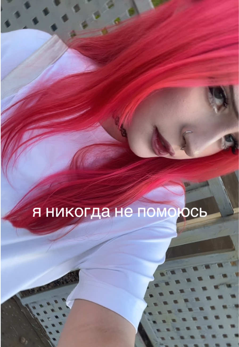 @лена котейкина