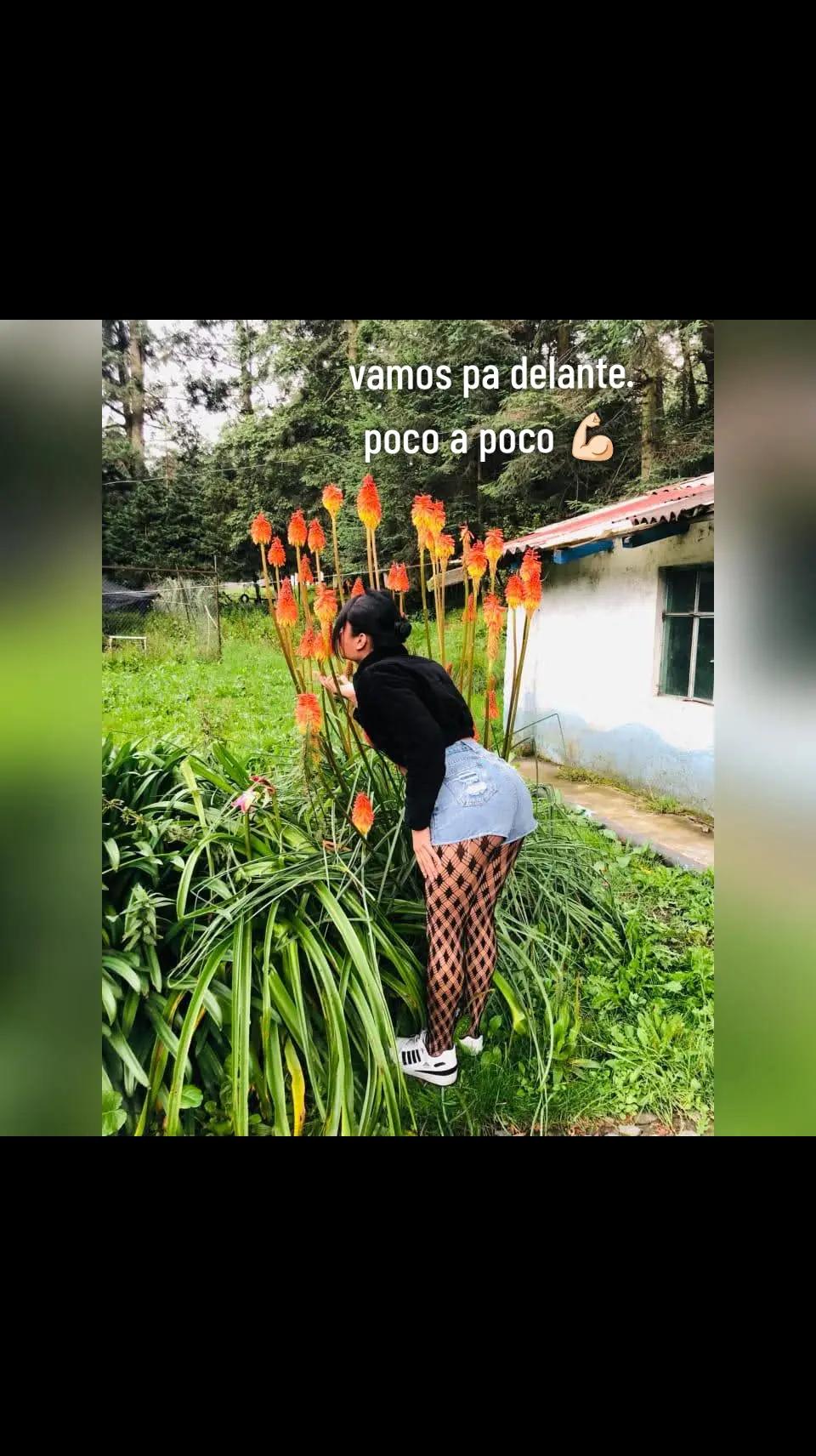@Valentina Hern&aacute;ndez