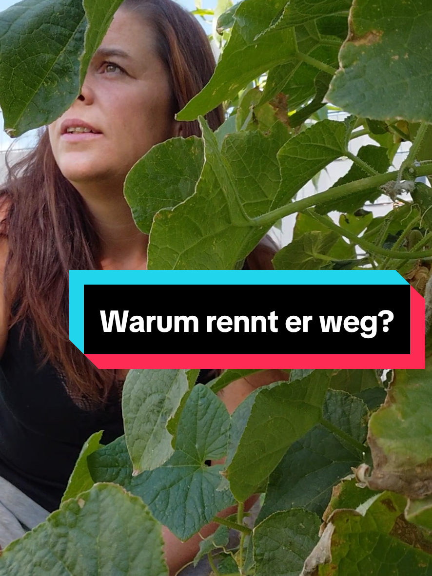 @Gartenchaos