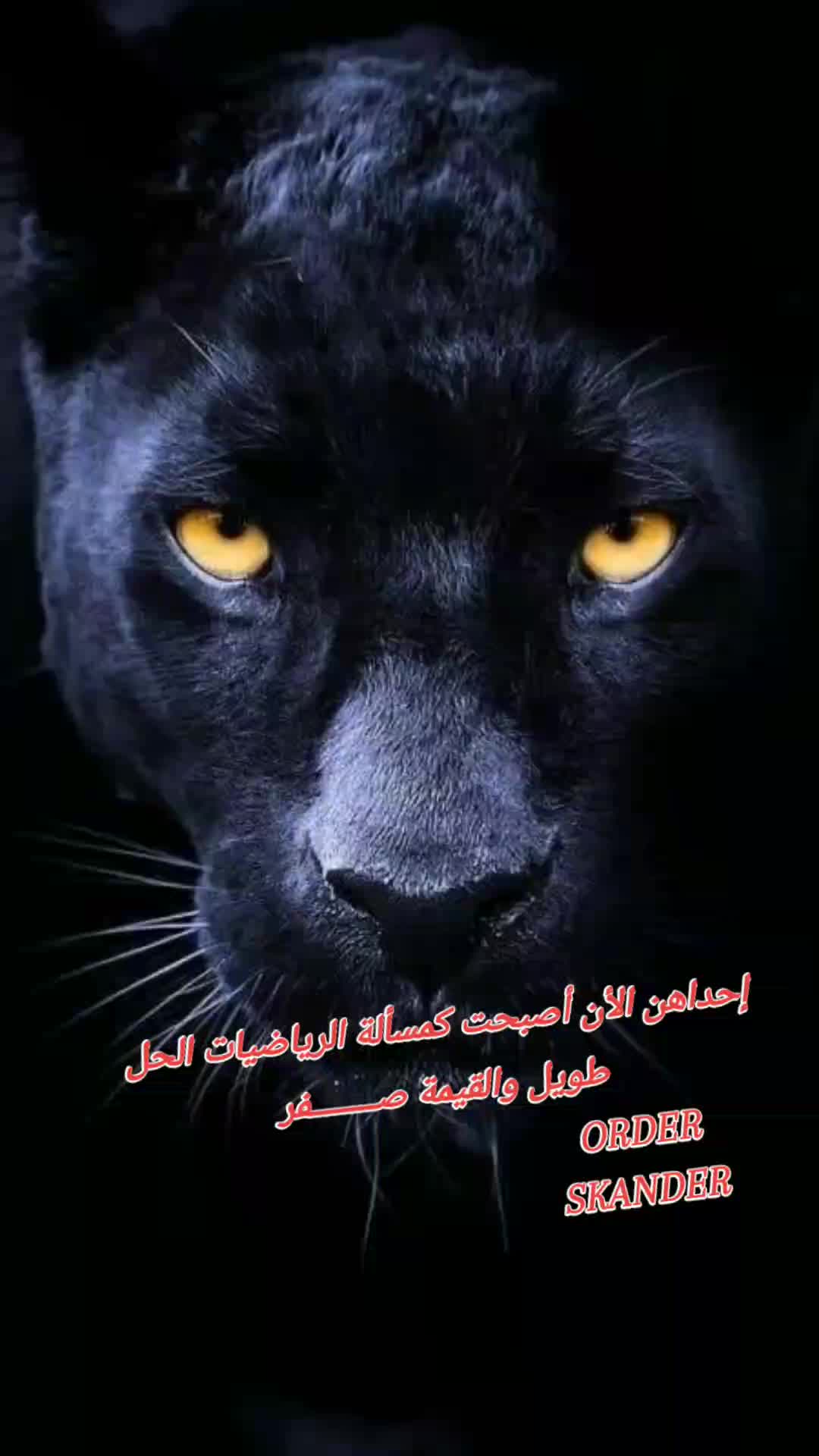 @🦅🚬★ المختلف ★🚬🦅