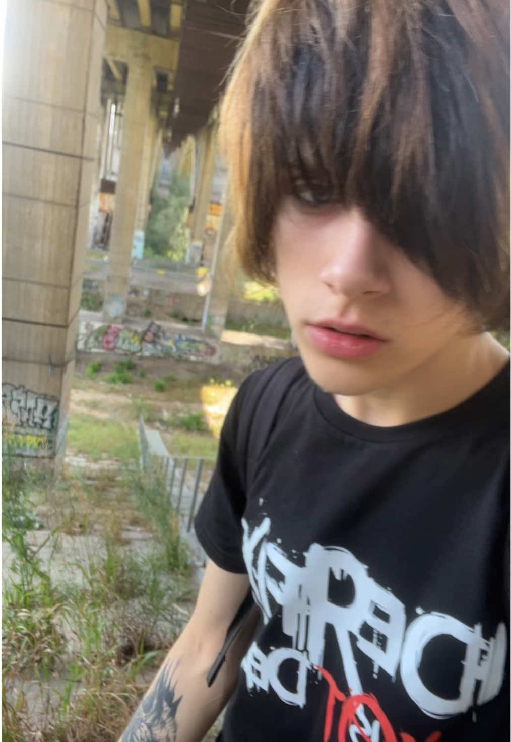 @｡*:\ йоᴋо ᴄᴀᴛоᴩи /:✧.