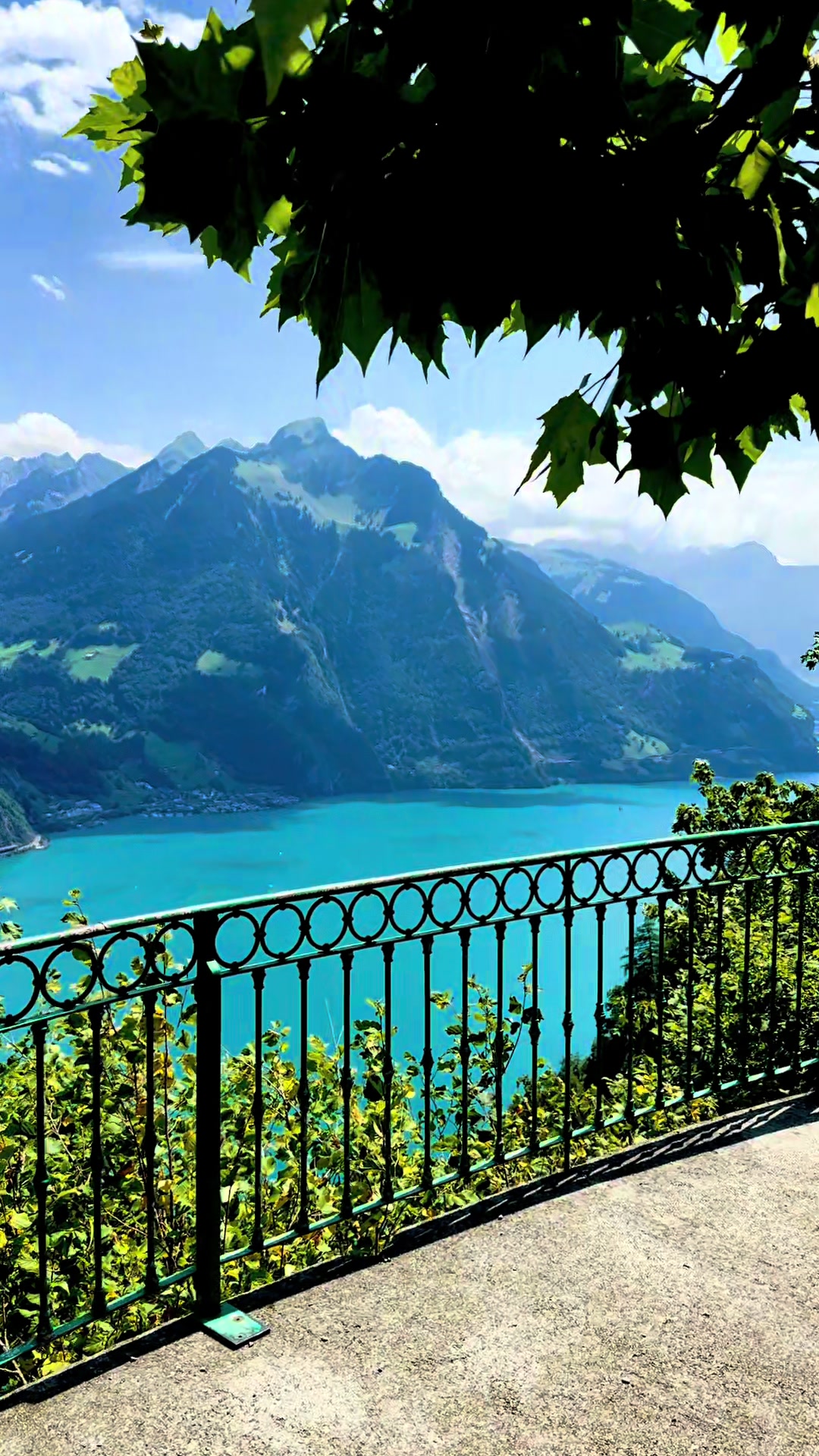 @Swiss_Vibe 🇨🇭