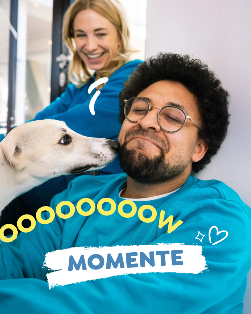 @wow.pet
