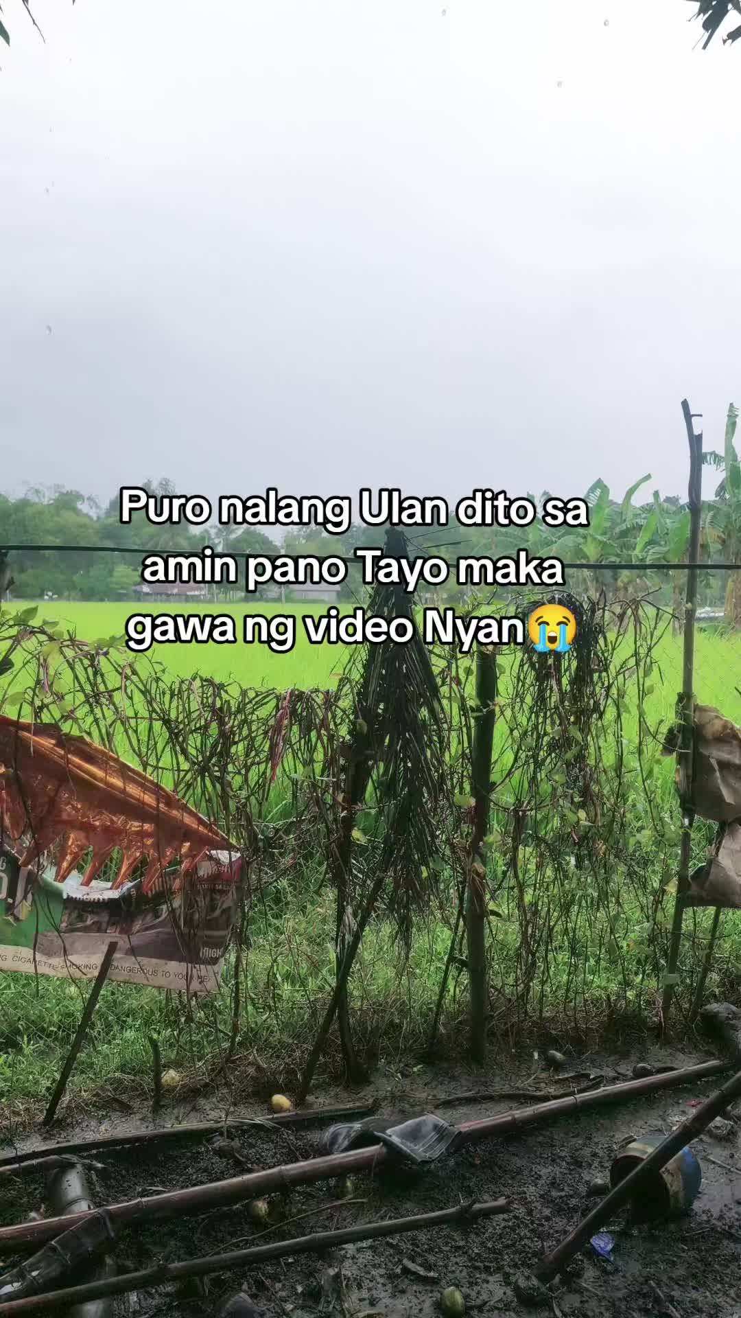@Boga King Vlogs