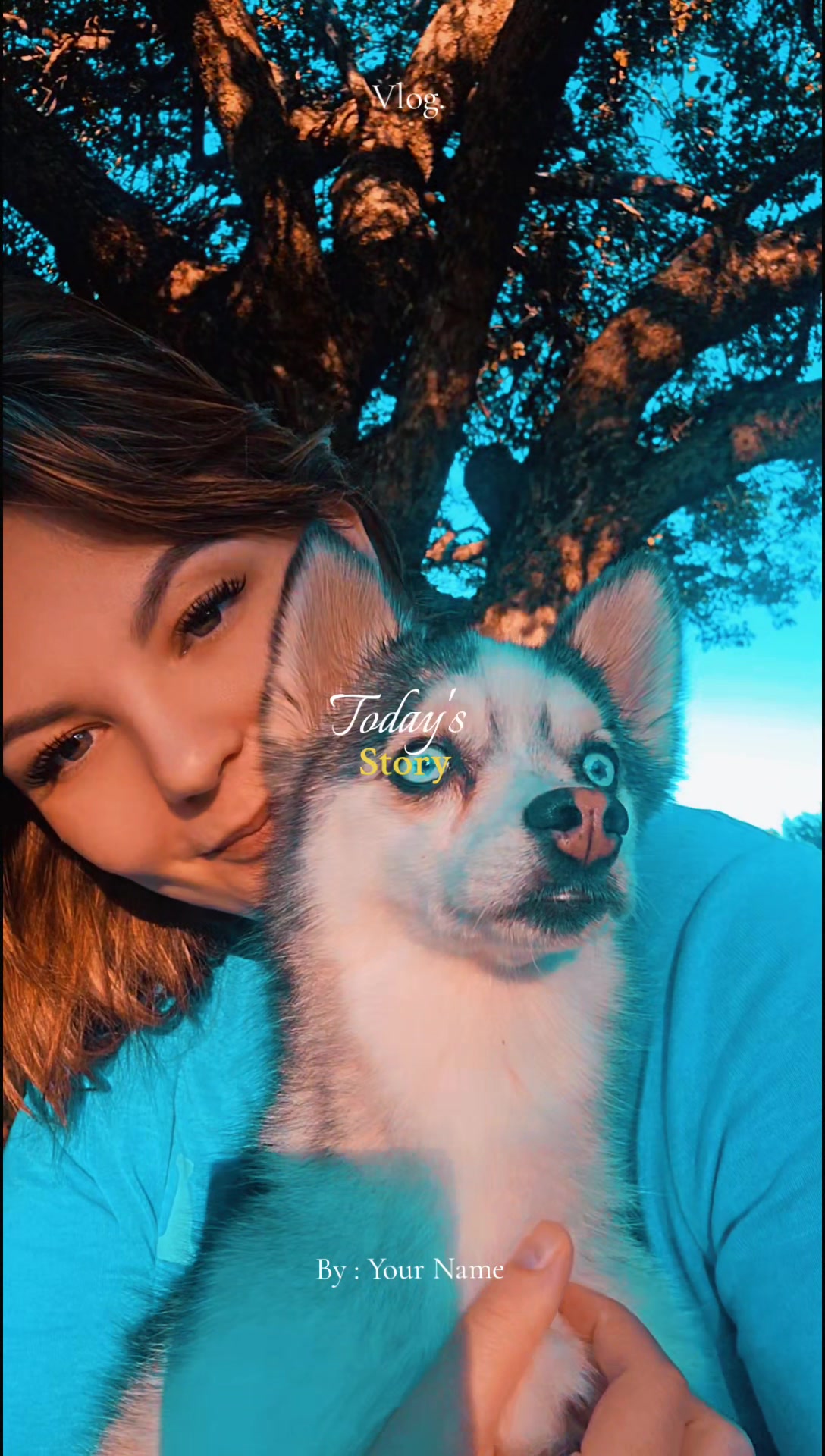 @howleenhusky