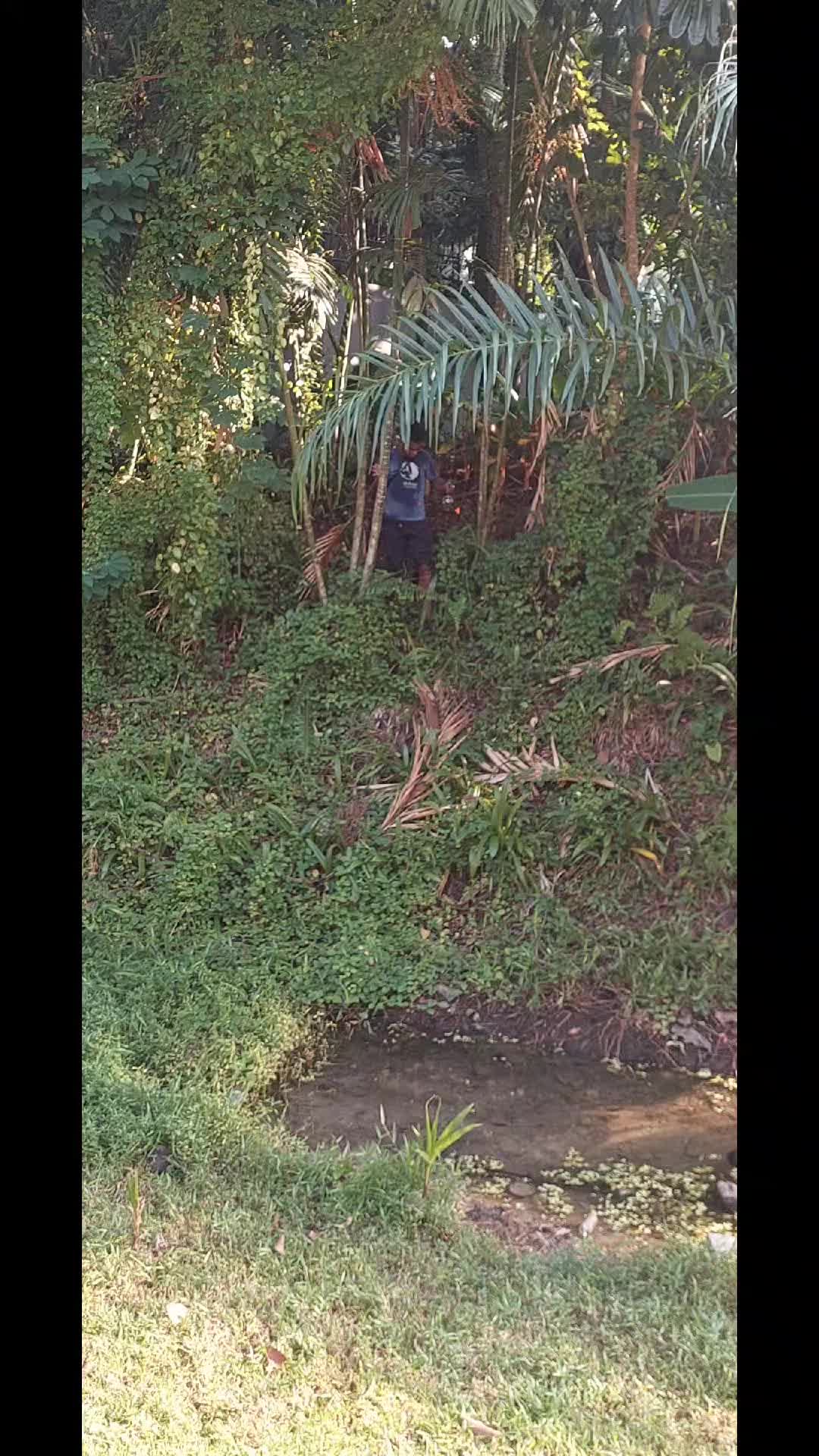 @DAVID 💚💛❤️
