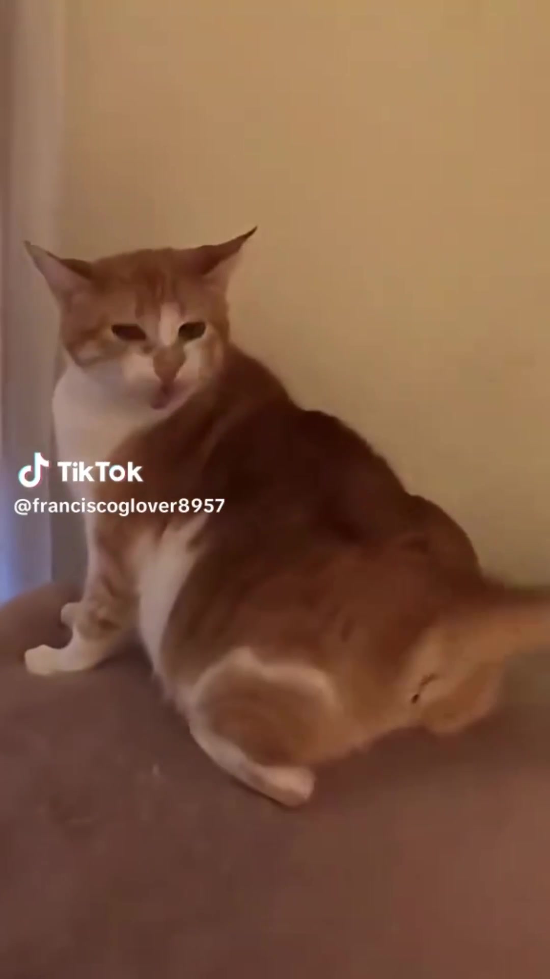 @Dan j