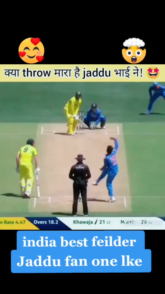 @cricket is life 🌎