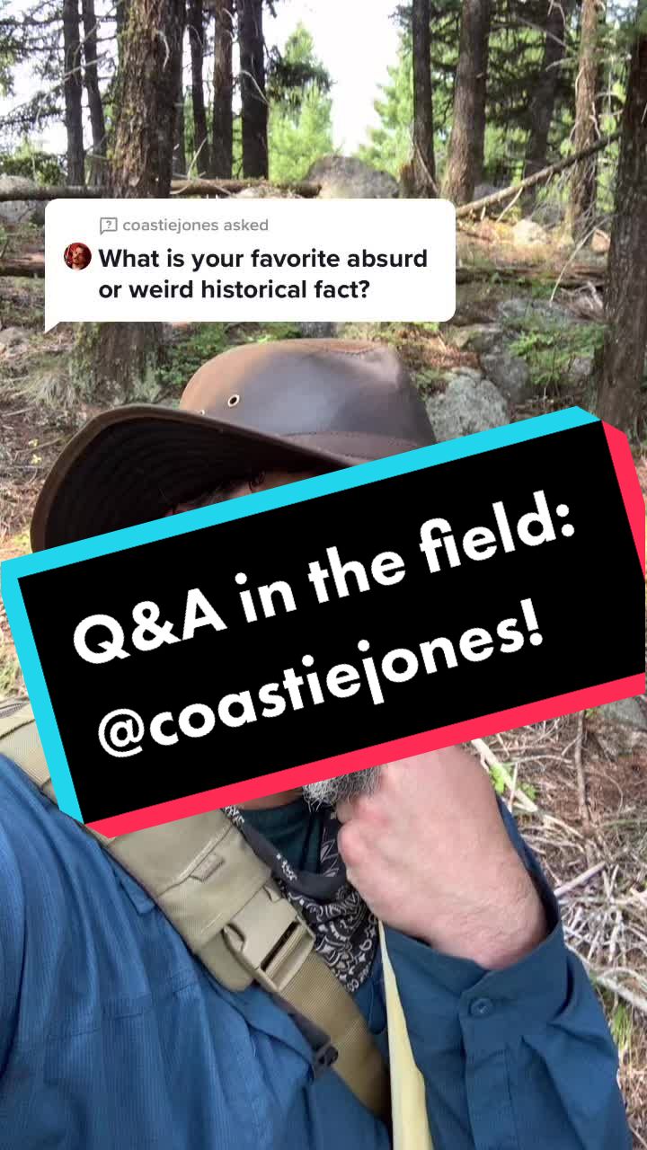@Archaeowolf