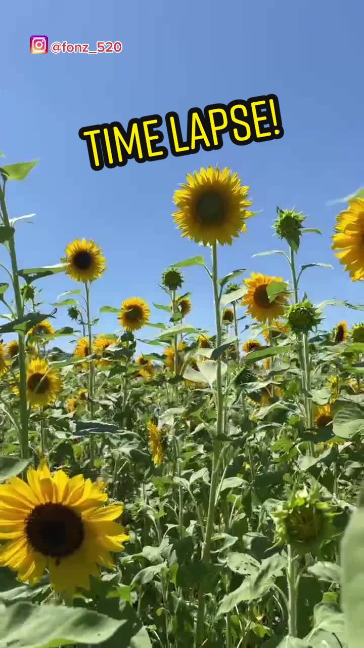@Fonztradamus