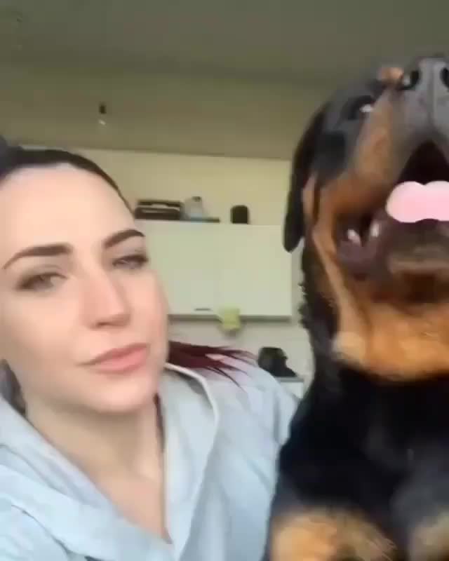 @Funny Animals World R