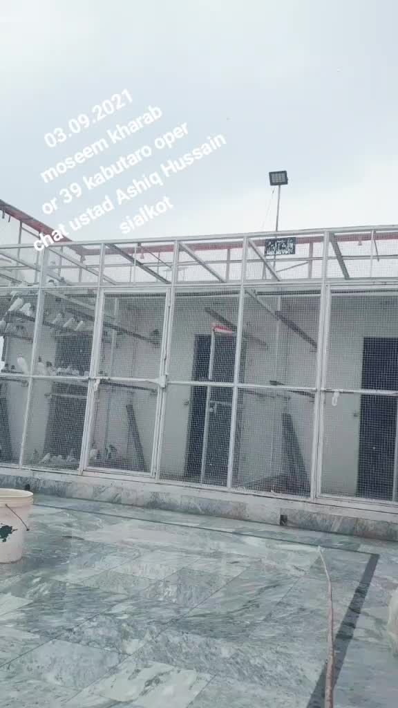 @Rao Shehroz