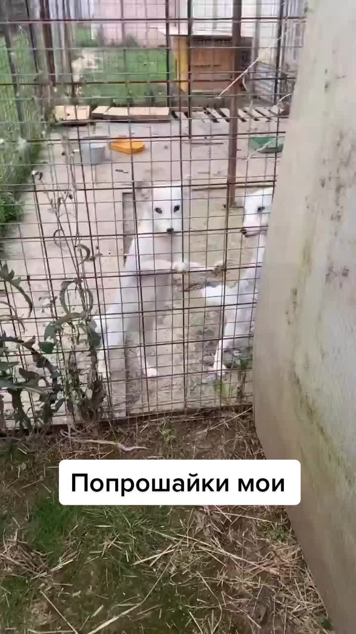 @Анна Алмазова