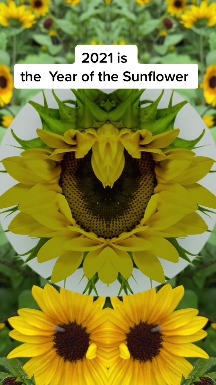 @Plants of Worth