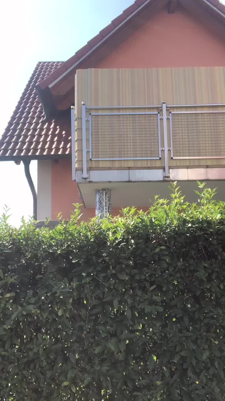 @alina_3.9