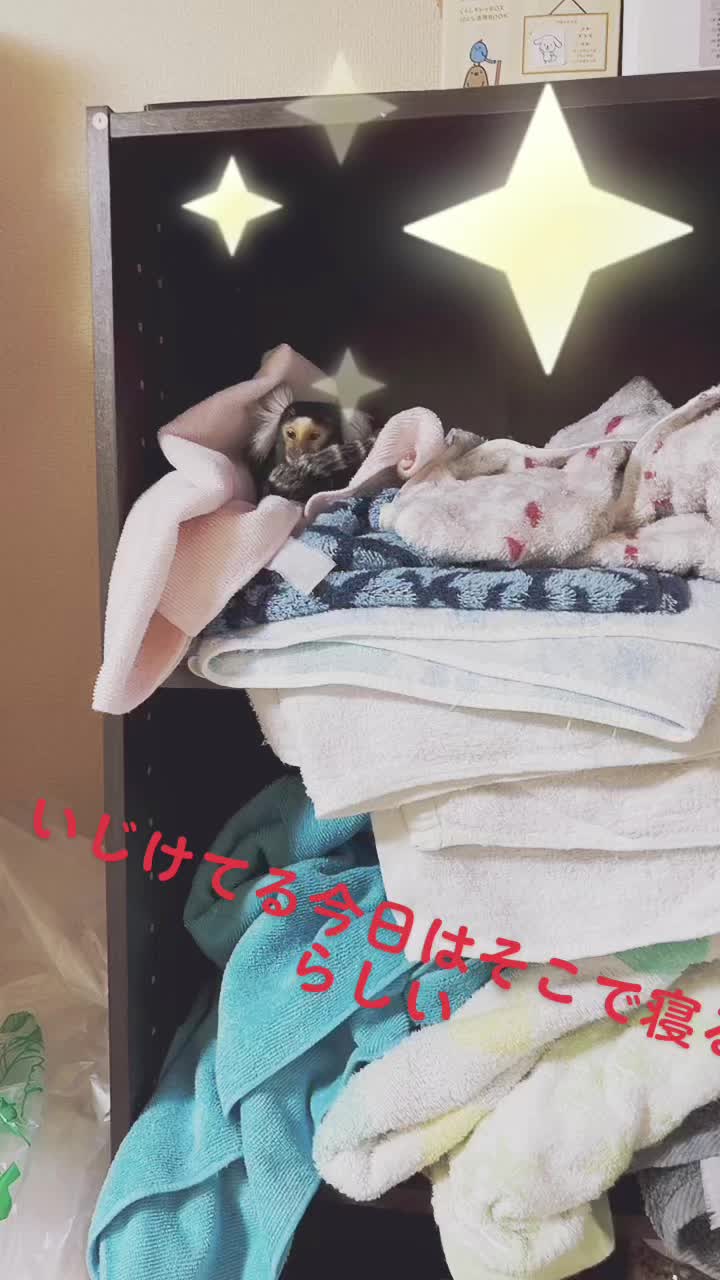 @ヒロ🦄