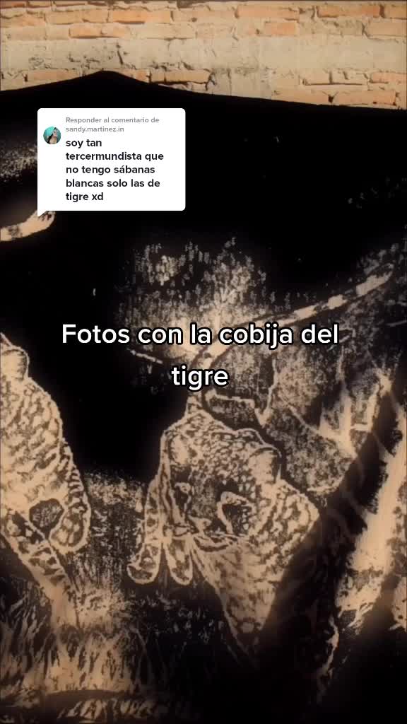 @Maldparra🌹