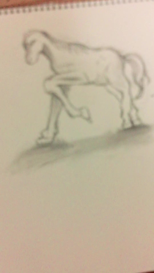 @チベットスナギツネ