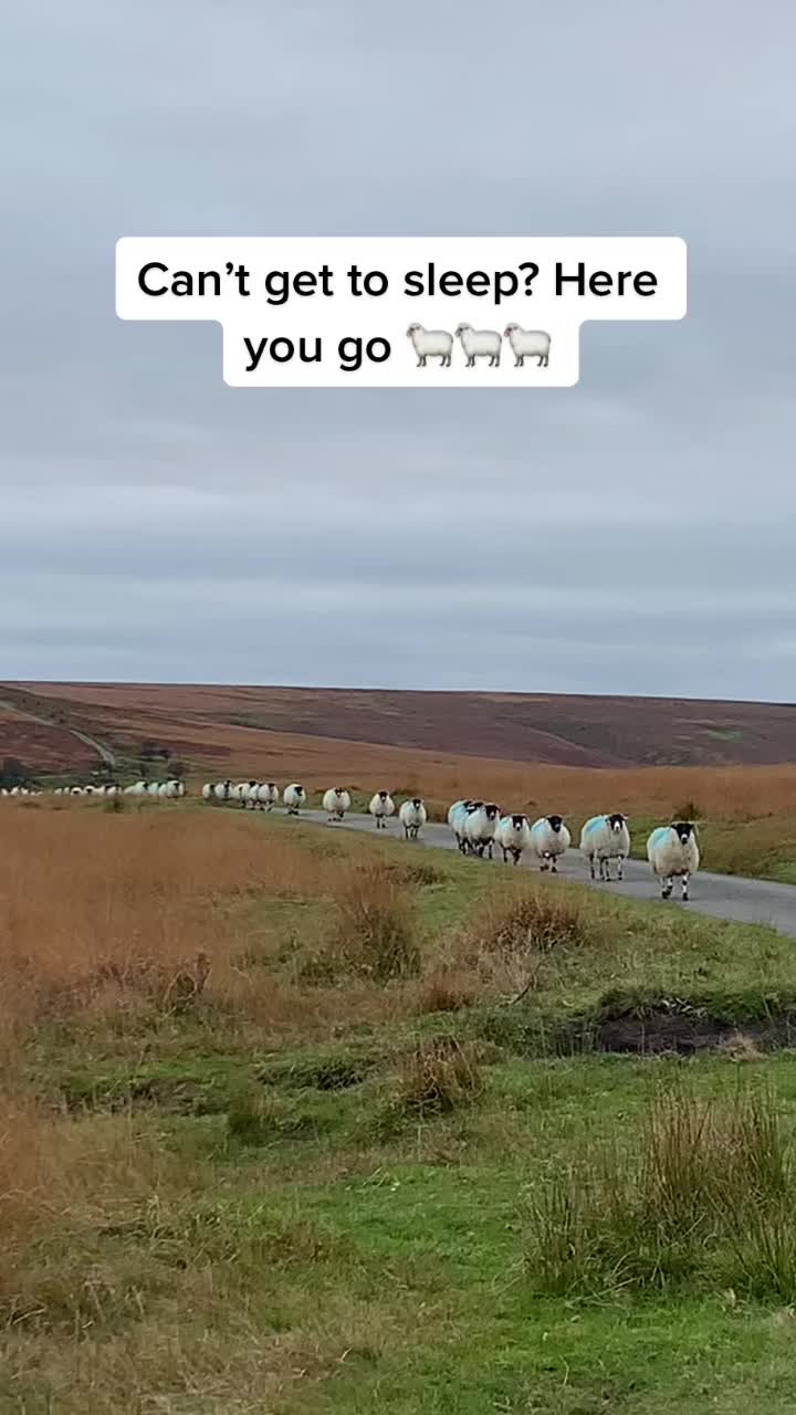 @BigCroneEnergy