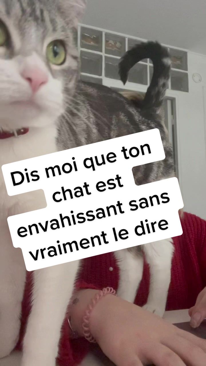 @merylinthestreet