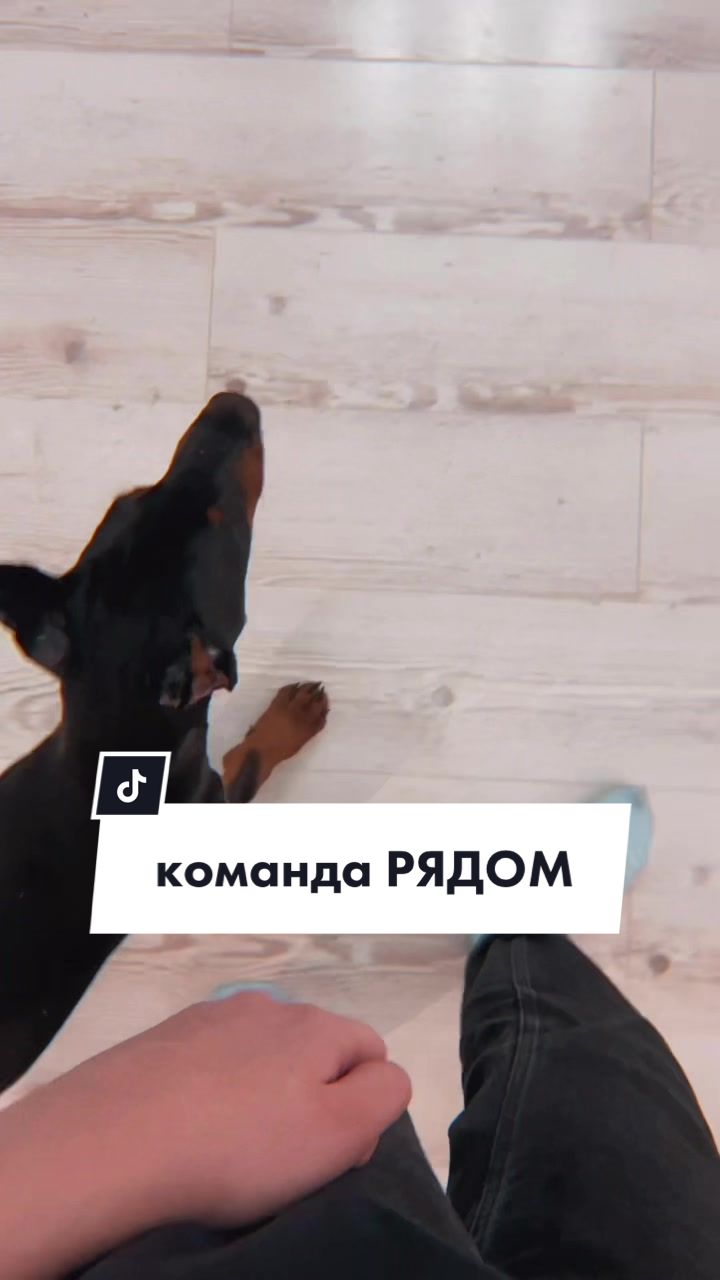 @dark.kkam