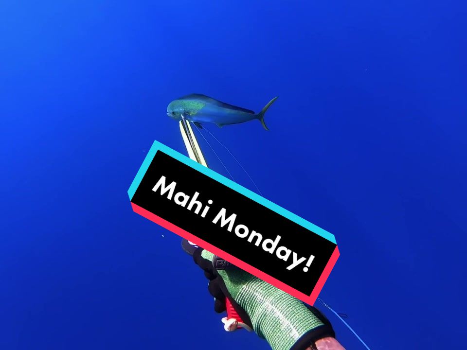 @kairosspearfishing
